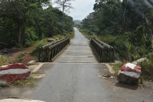 Brücke in Guinea